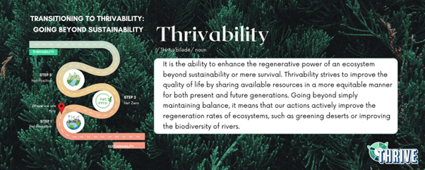 From Sustainability to Thrivability